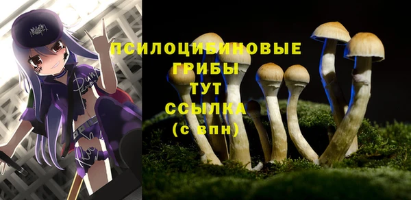 ECSTASY Балабаново